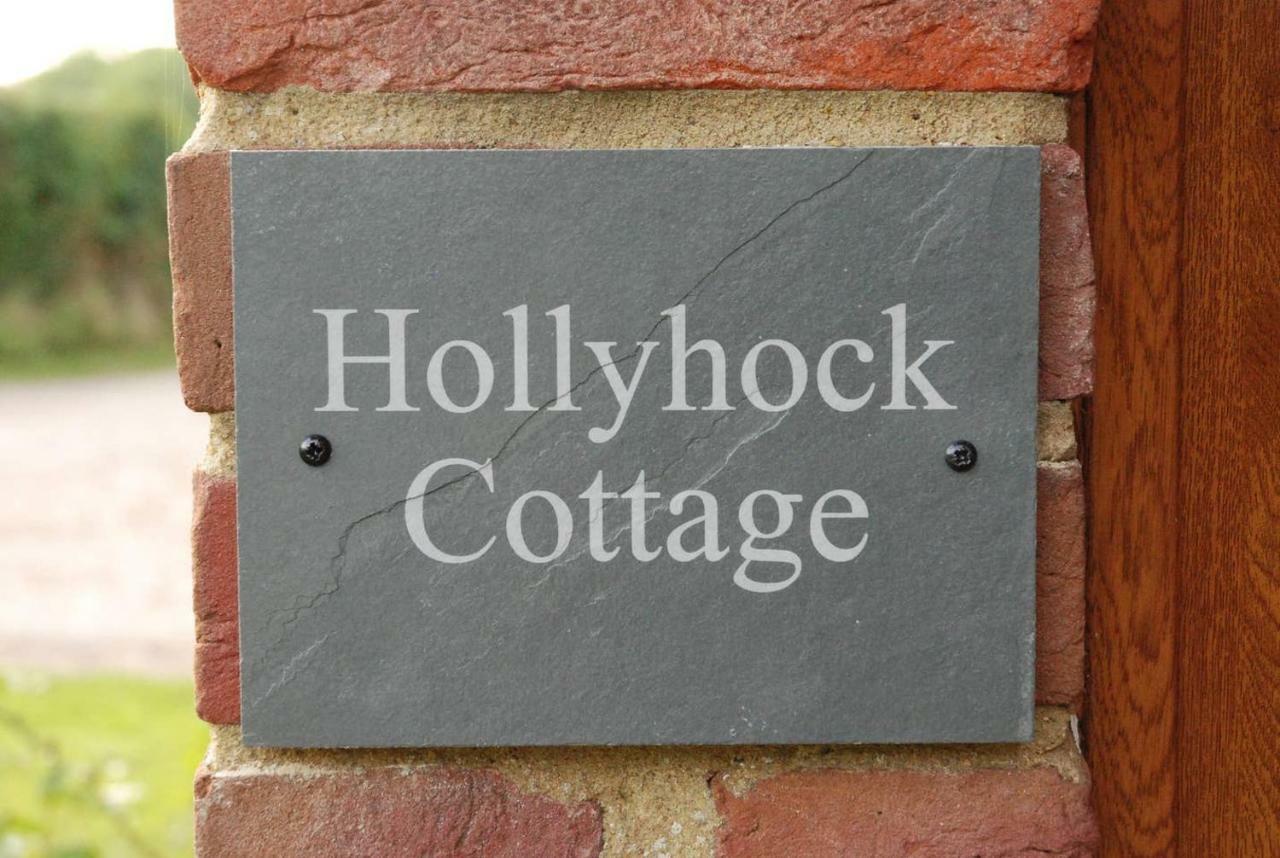Hollyhock Cottage Ashford  Zewnętrze zdjęcie