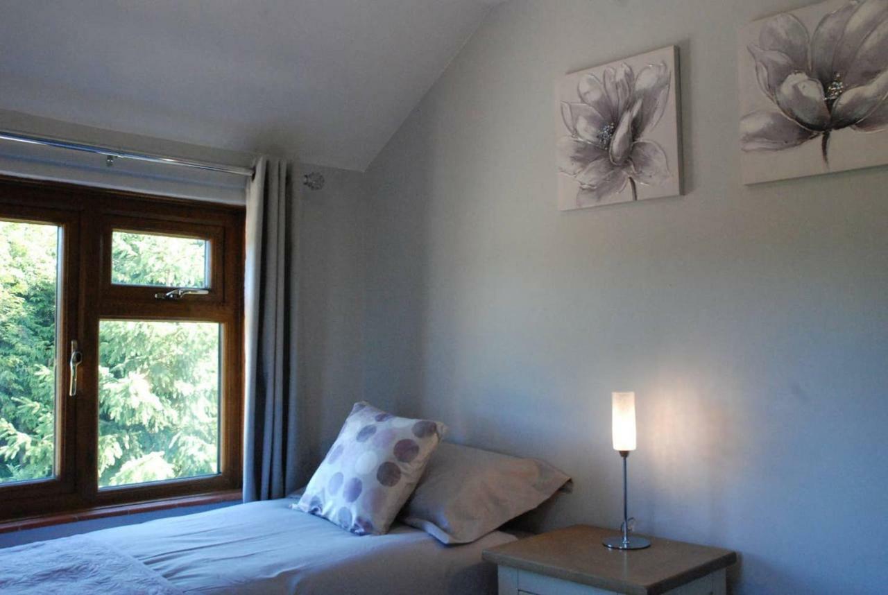 Hollyhock Cottage Ashford  Zewnętrze zdjęcie