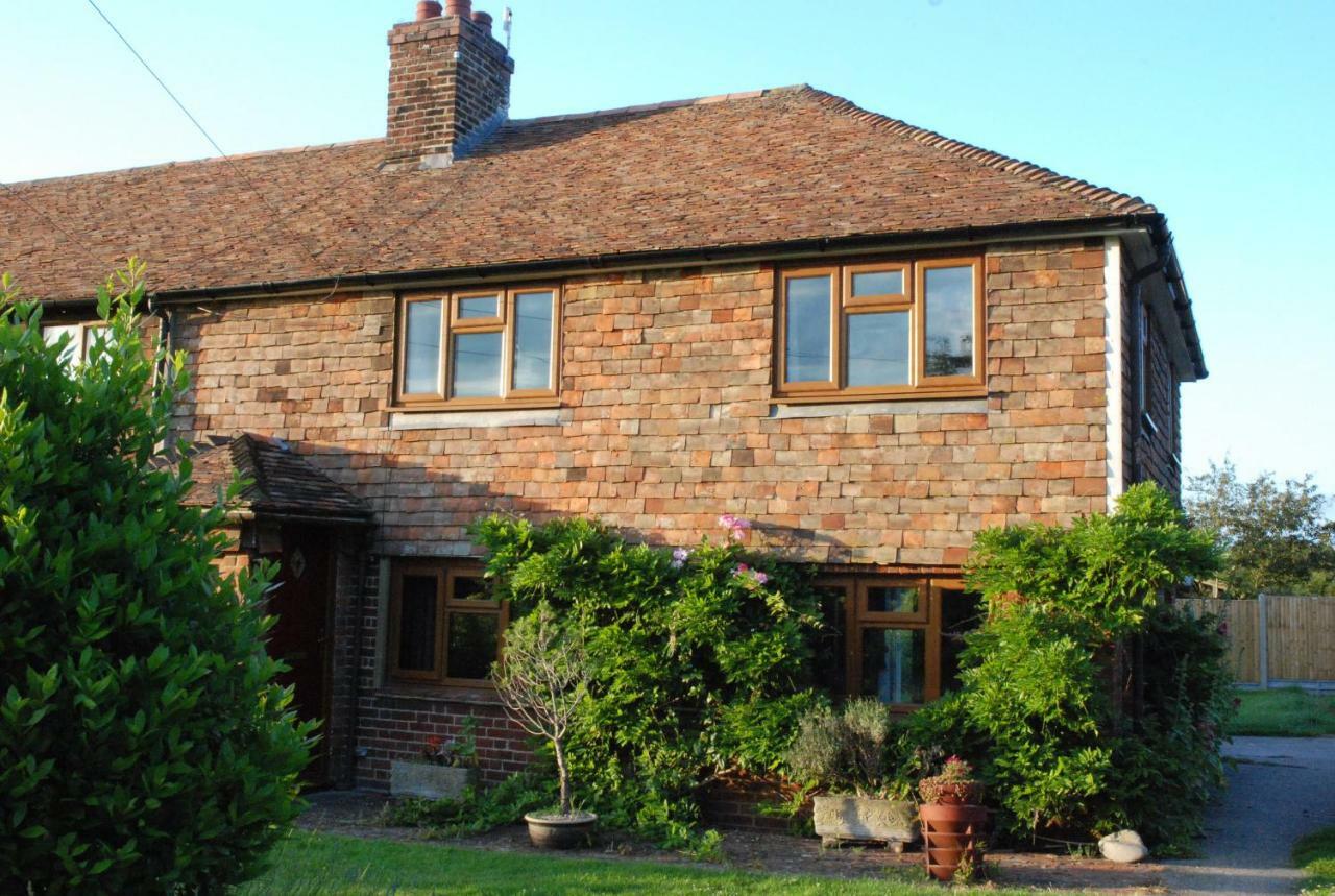 Hollyhock Cottage Ashford  Zewnętrze zdjęcie